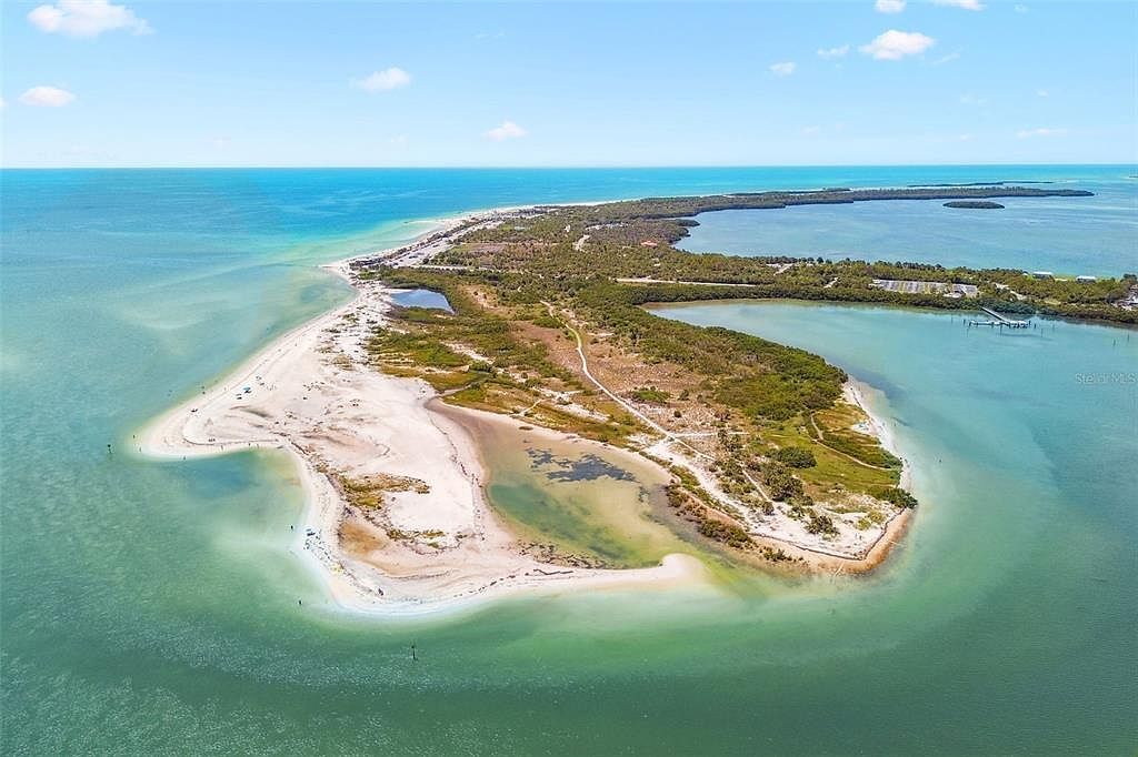 1956 Cedar Dr Dunedin, FL 34698 - Thumbnail 4