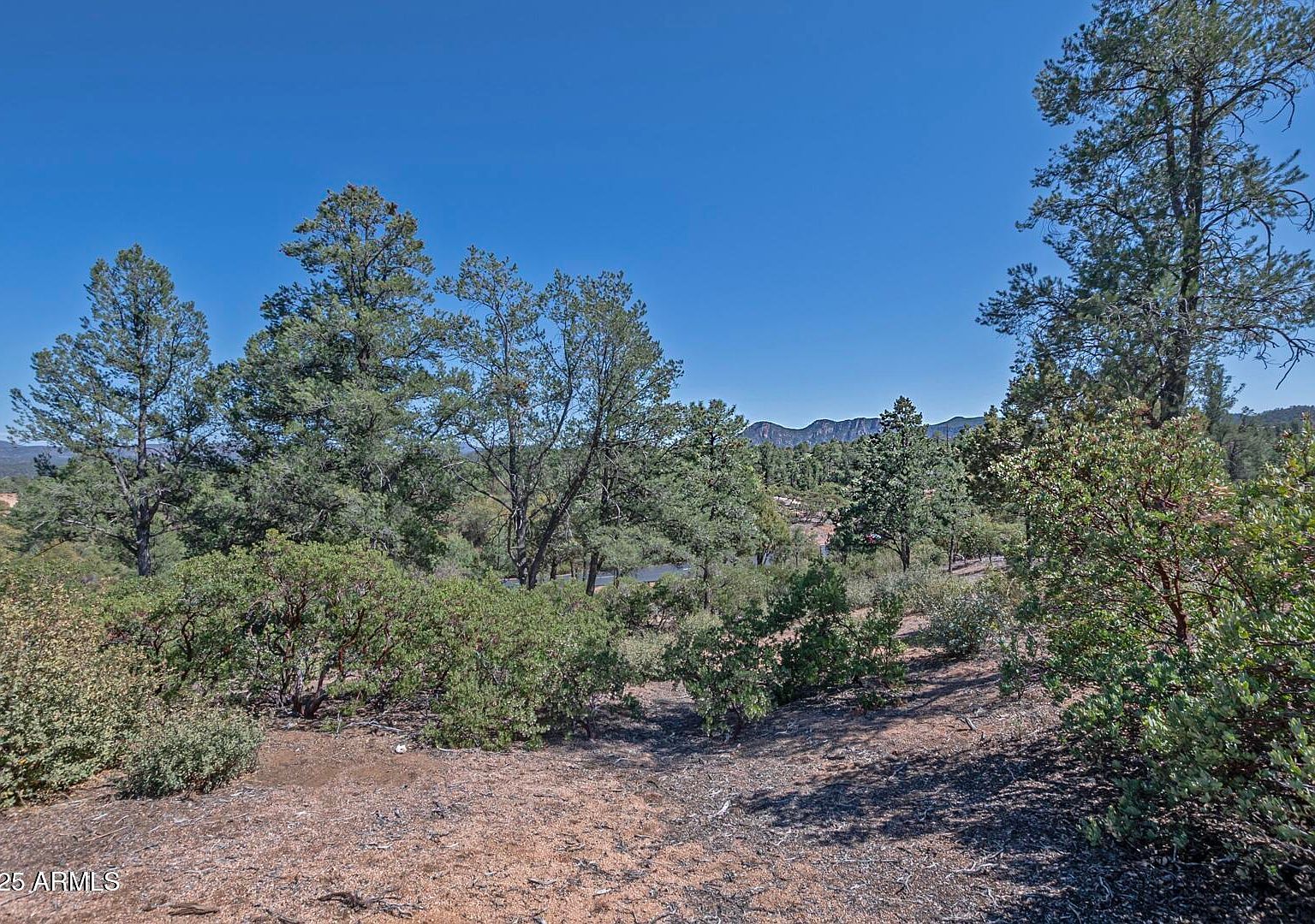 2500 E Feather Plume Ln #550 Payson, AZ 85541 - Thumbnail 4