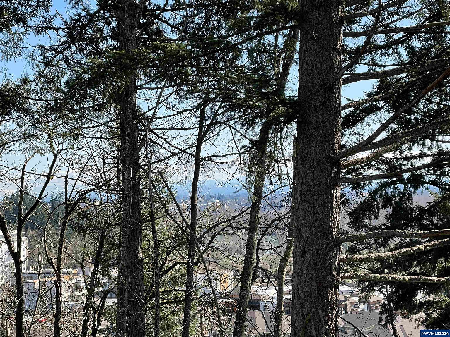 340 View Dr NW Salem, OR 97304 - Thumbnail 4