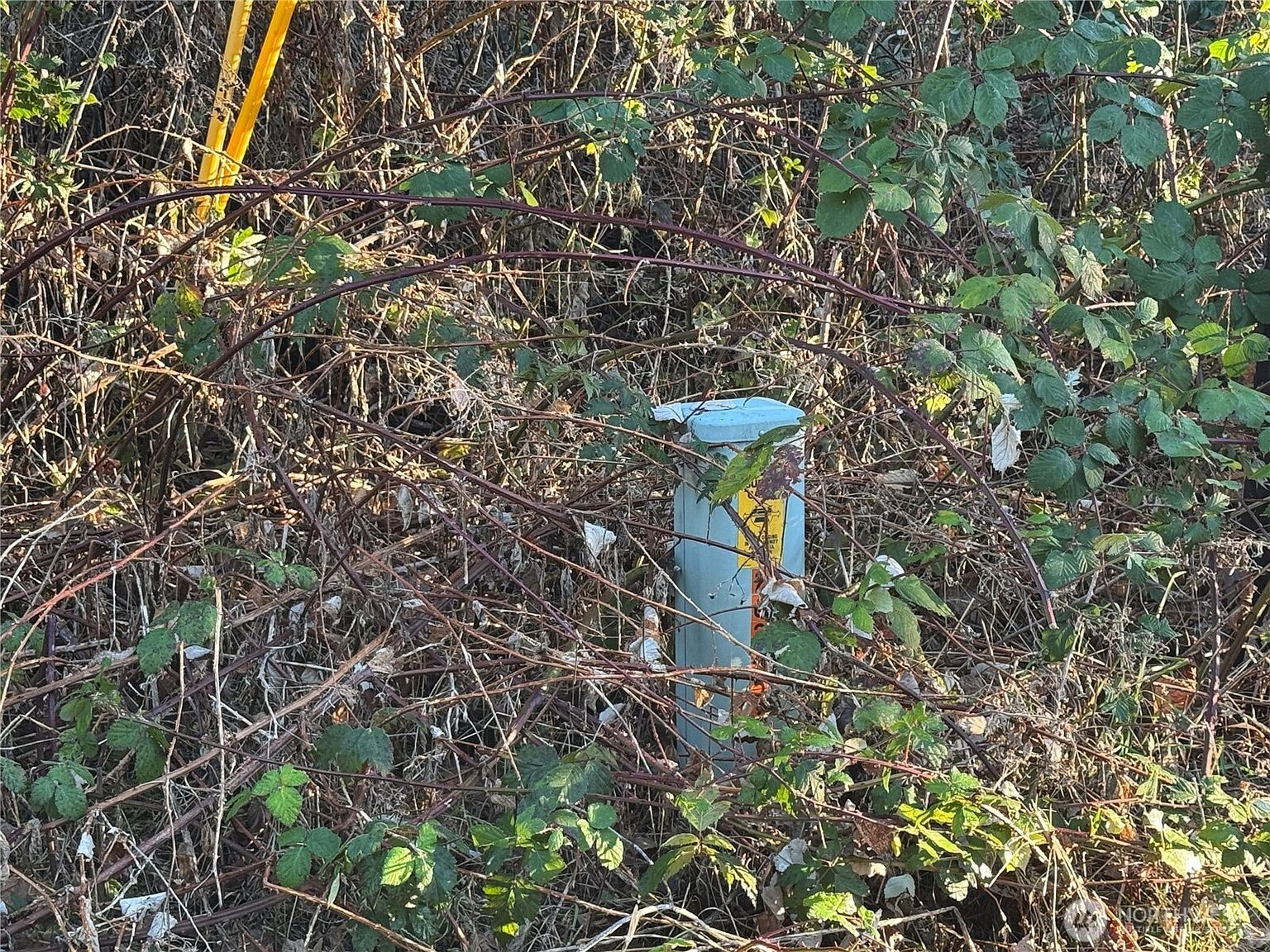 31319 555th St E Ashford, WA 98304 - Thumbnail 4