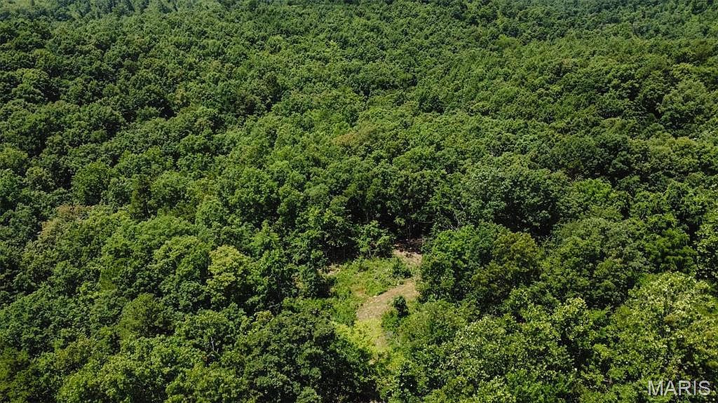 0 Madison St #247 Fredericktown, MO 63645 - Thumbnail 4