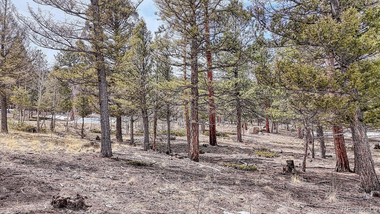 30406 National Forest Dr Buena Vista, CO 81211 - Thumbnail 4