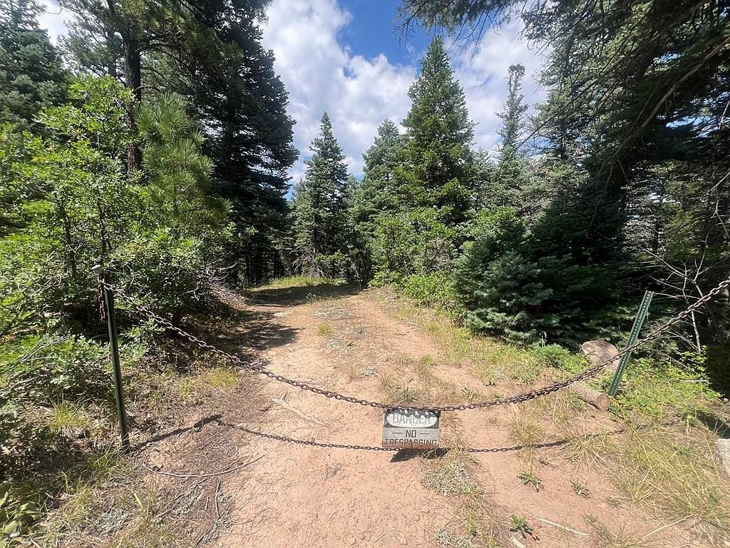 Tbd Bartlett Trl Rye, CO 81069 - Thumbnail 4