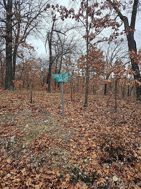 LOT 1448 Charlap Ln Edwards, MO 65326 - Thumbnail 4