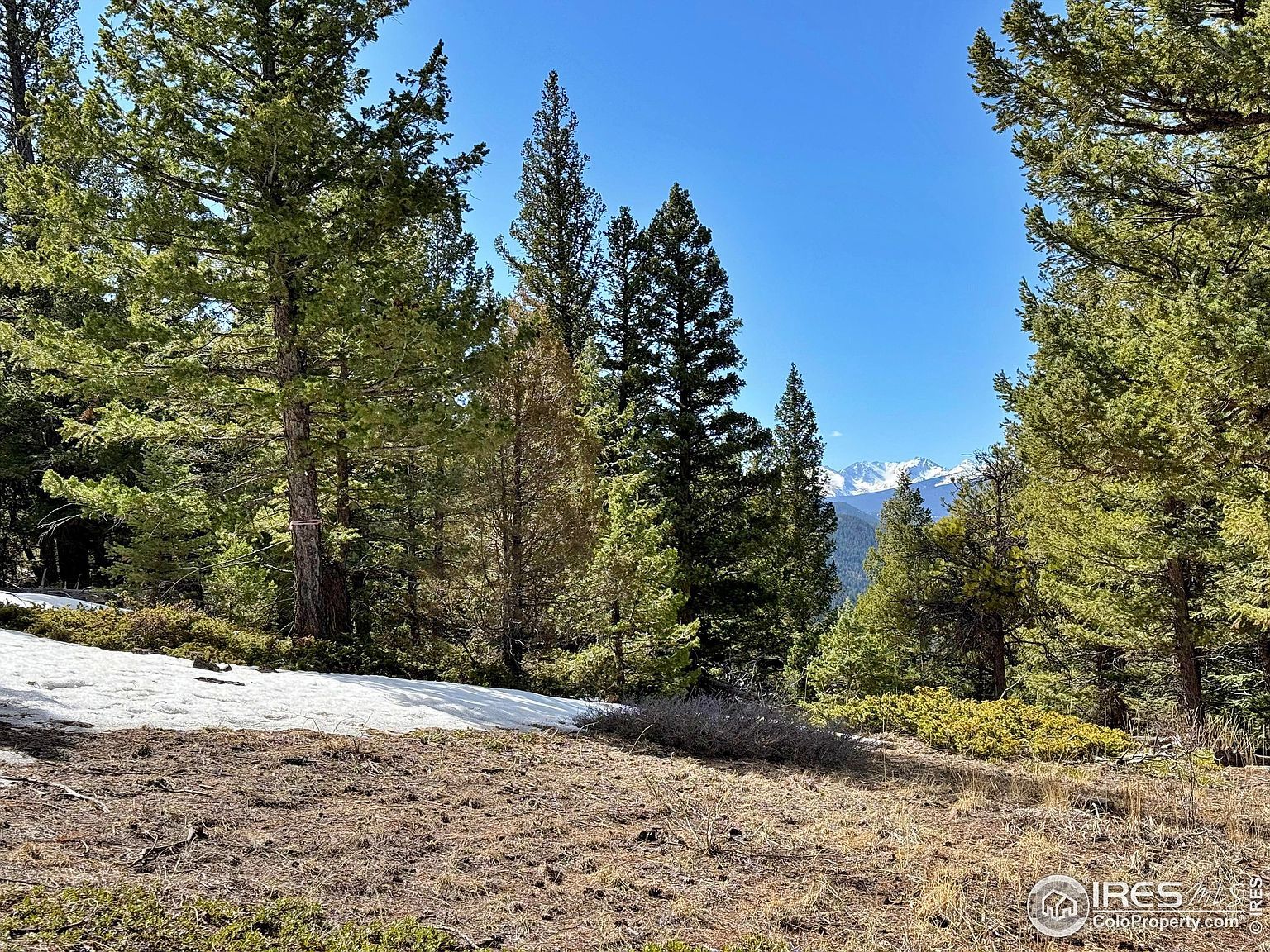 323 Roxbury Dr Boulder, CO 80302 - Thumbnail 4