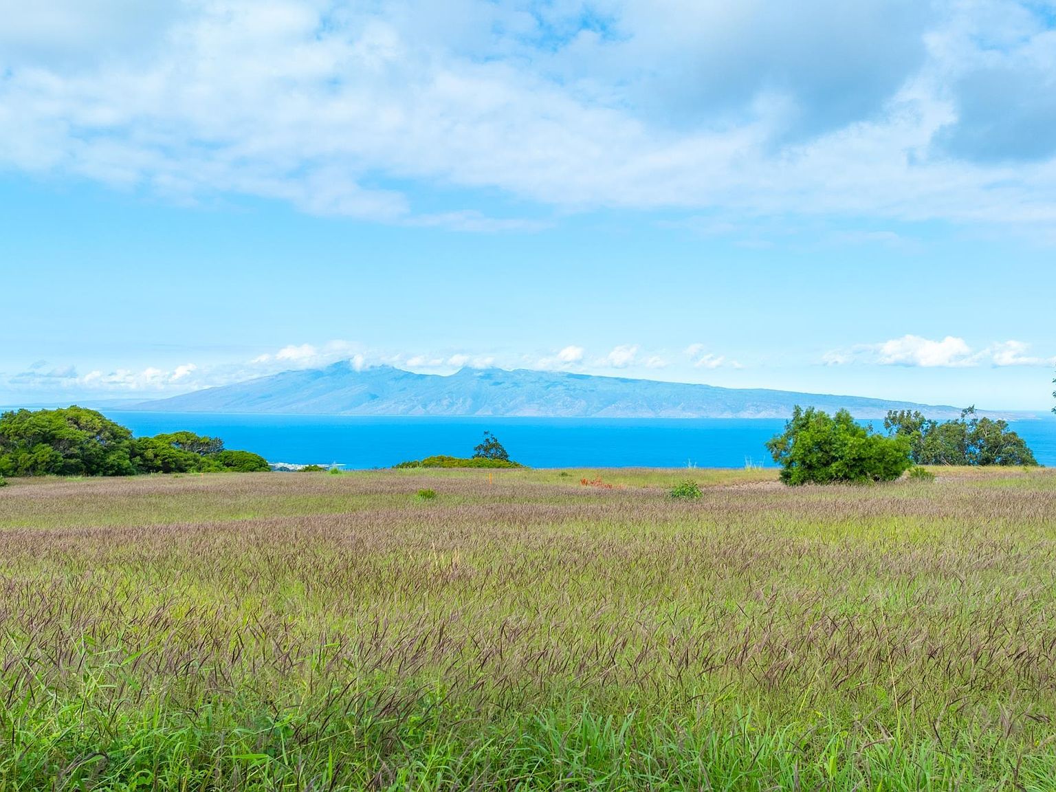 242 Keoawa St #22 Lahaina, HI 96761 - Thumbnail 4