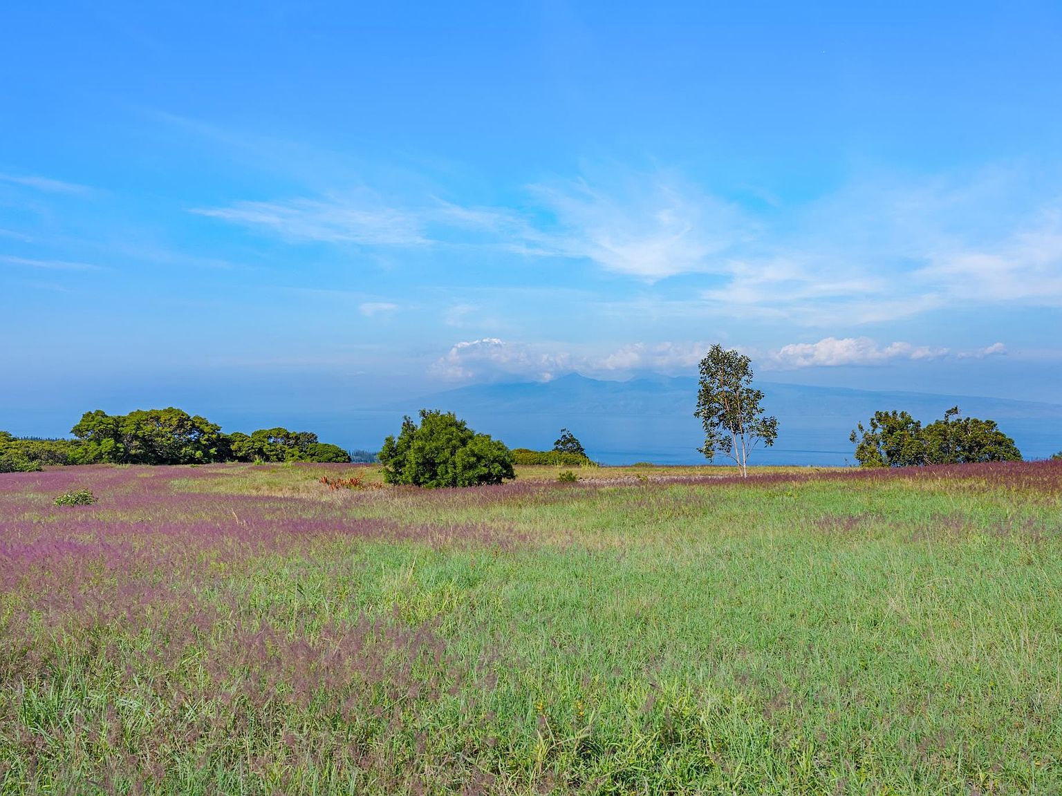 238 Keoawa St #21 Lahaina, HI 96761 - Thumbnail 4