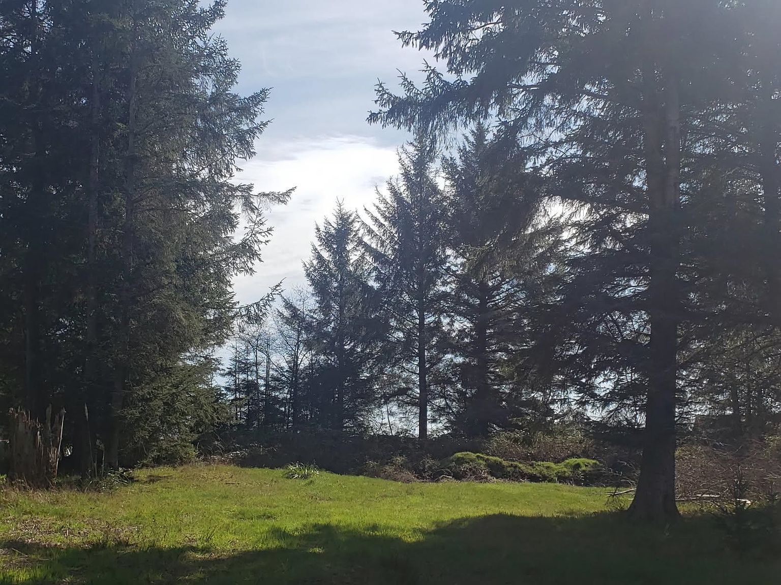 75 Embarcadero Dr Crescent City, CA 95531 - Thumbnail 4