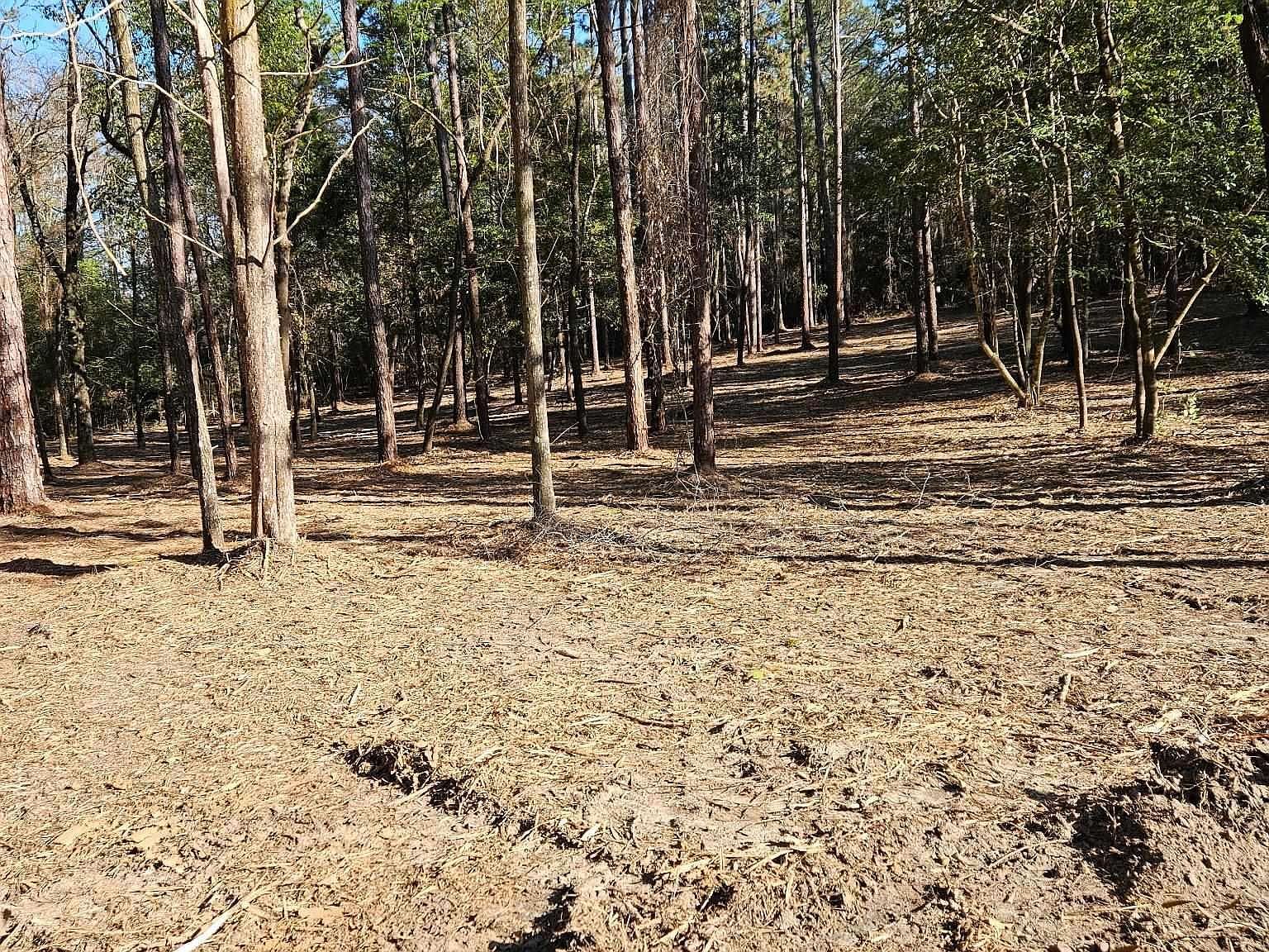 11040 County Road 138 Bay Minette, AL 36507 - Thumbnail 4