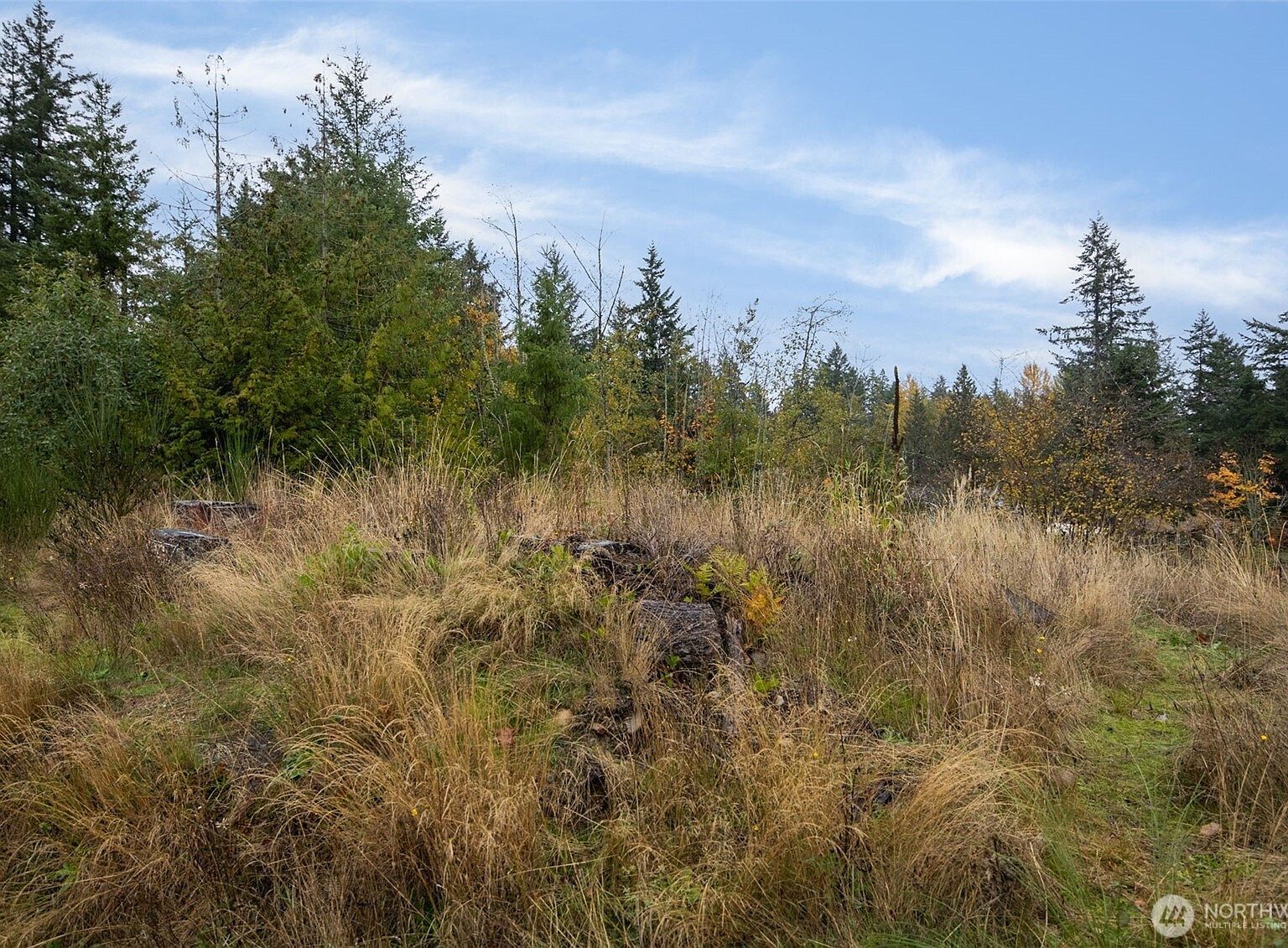 0 Xx 184th Ave E Bonney Lake, WA 98391 - Thumbnail 4