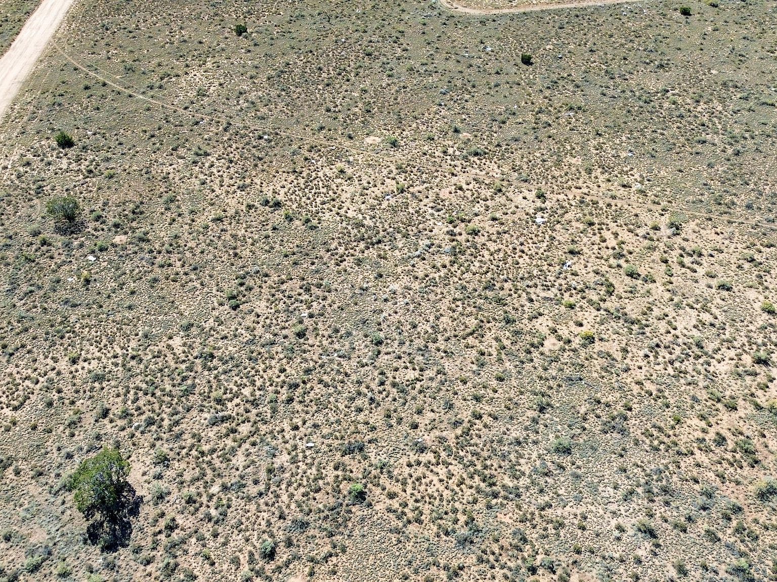 1975 E Valle Rd #127 Williams, AZ 86046 - Thumbnail 4