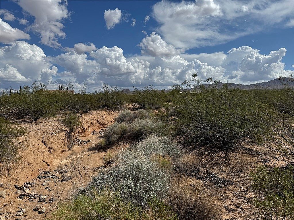 8923 N Lariat Dr Kingman, AZ 86401 - Thumbnail 4