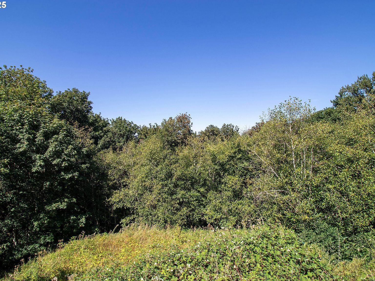 8049 NW Prominence Ct Portland, OR 97229 - Thumbnail 4