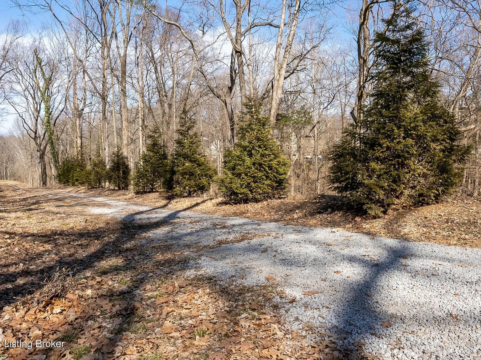 7909 Barbour Manor Dr Louisville, KY 40241 - Thumbnail 4