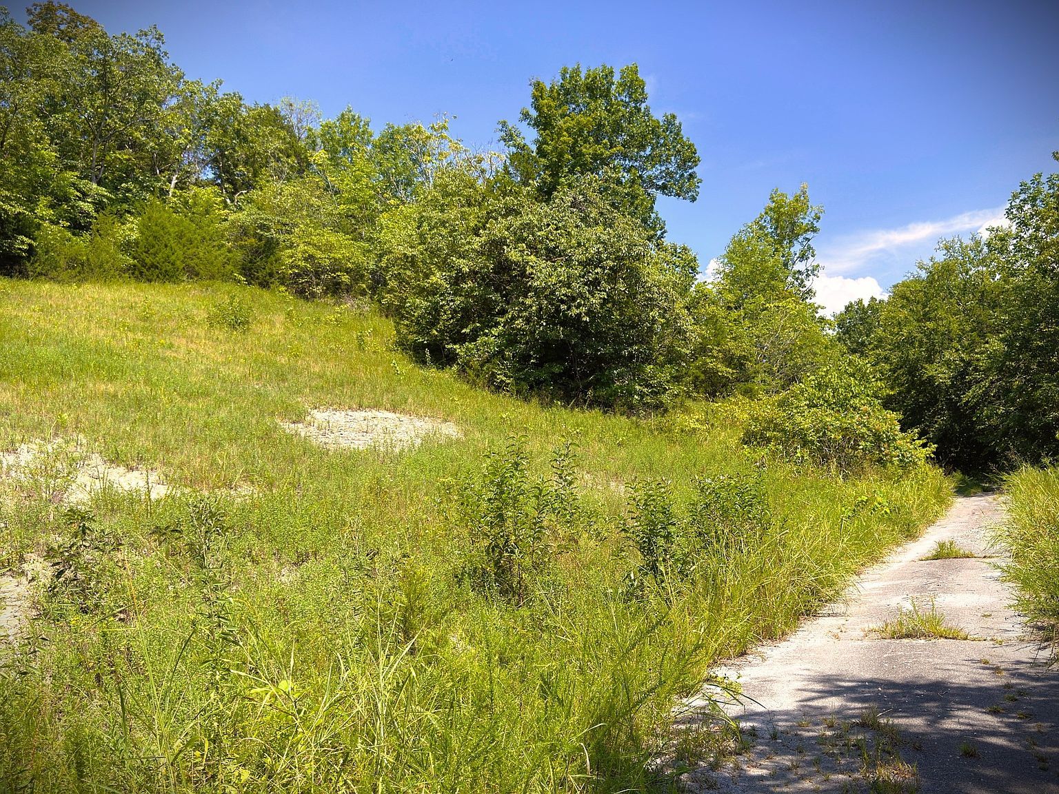 0 Bald Eagle Rd LOT 7D Hilham, TN 38568 - Thumbnail 4
