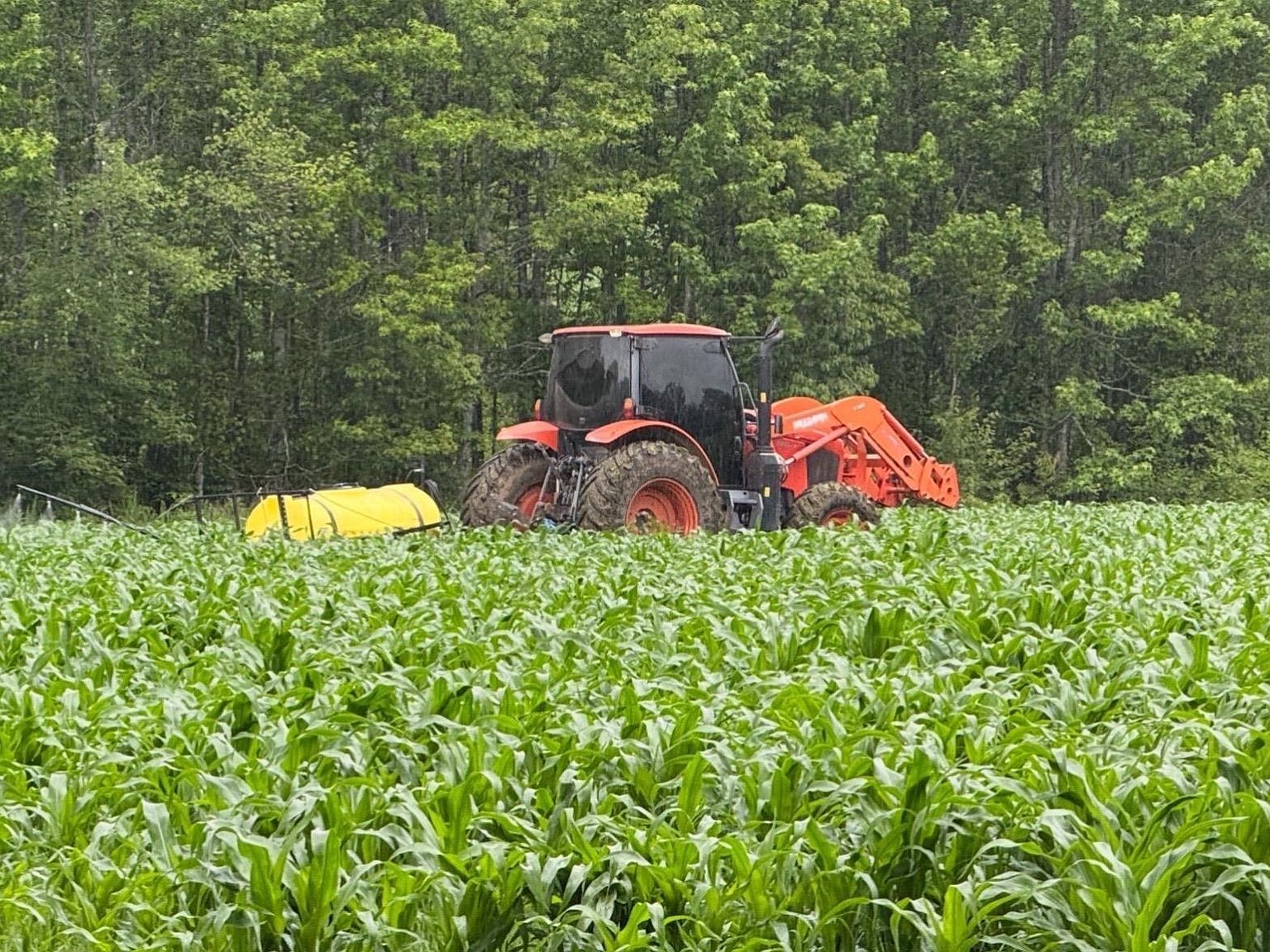 548 Cornerstone Rd Pleasant Plains, AR 72568 - Thumbnail 4