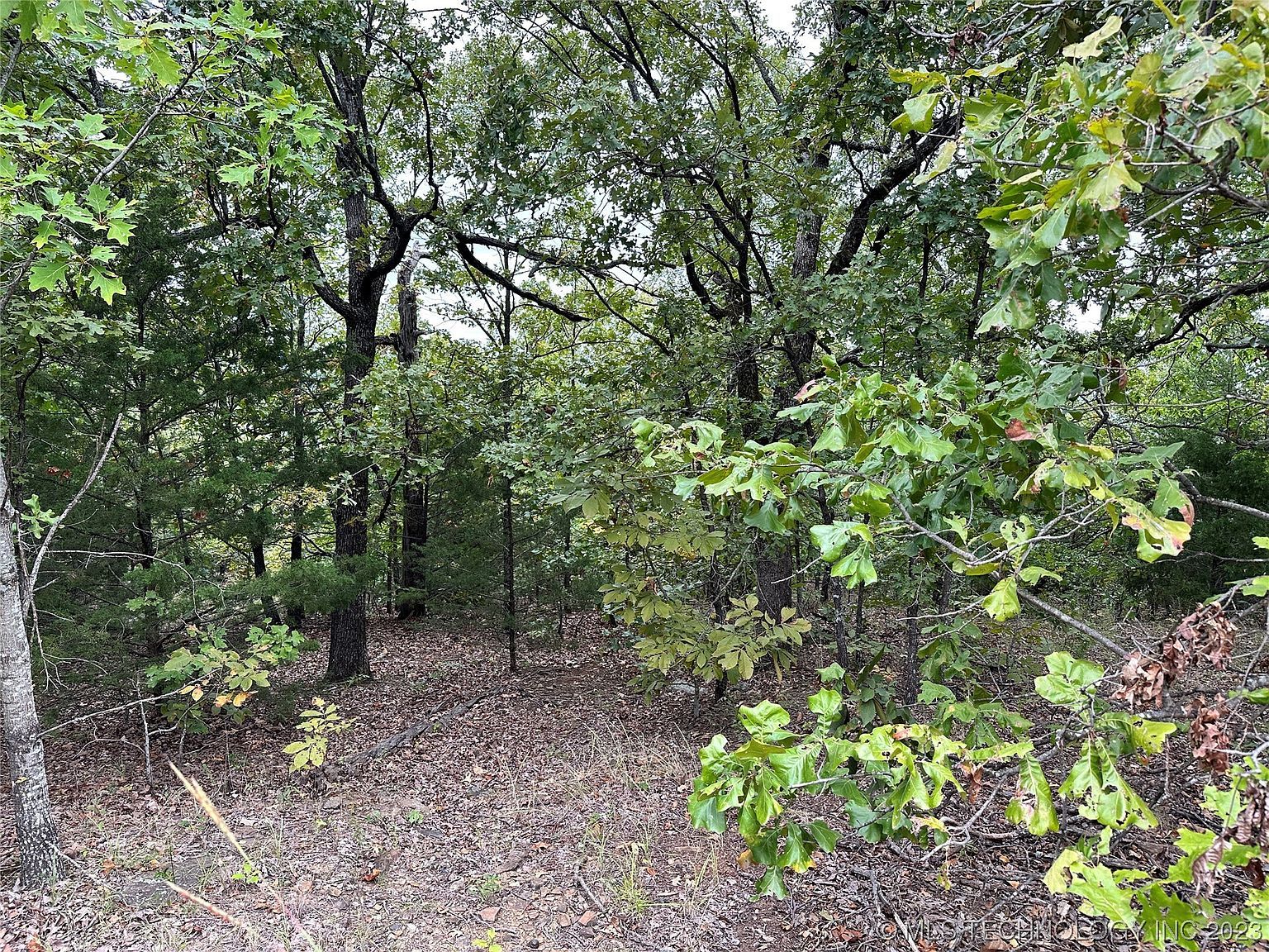 Hunter Rd Stigler, OK 74462 - Thumbnail 4