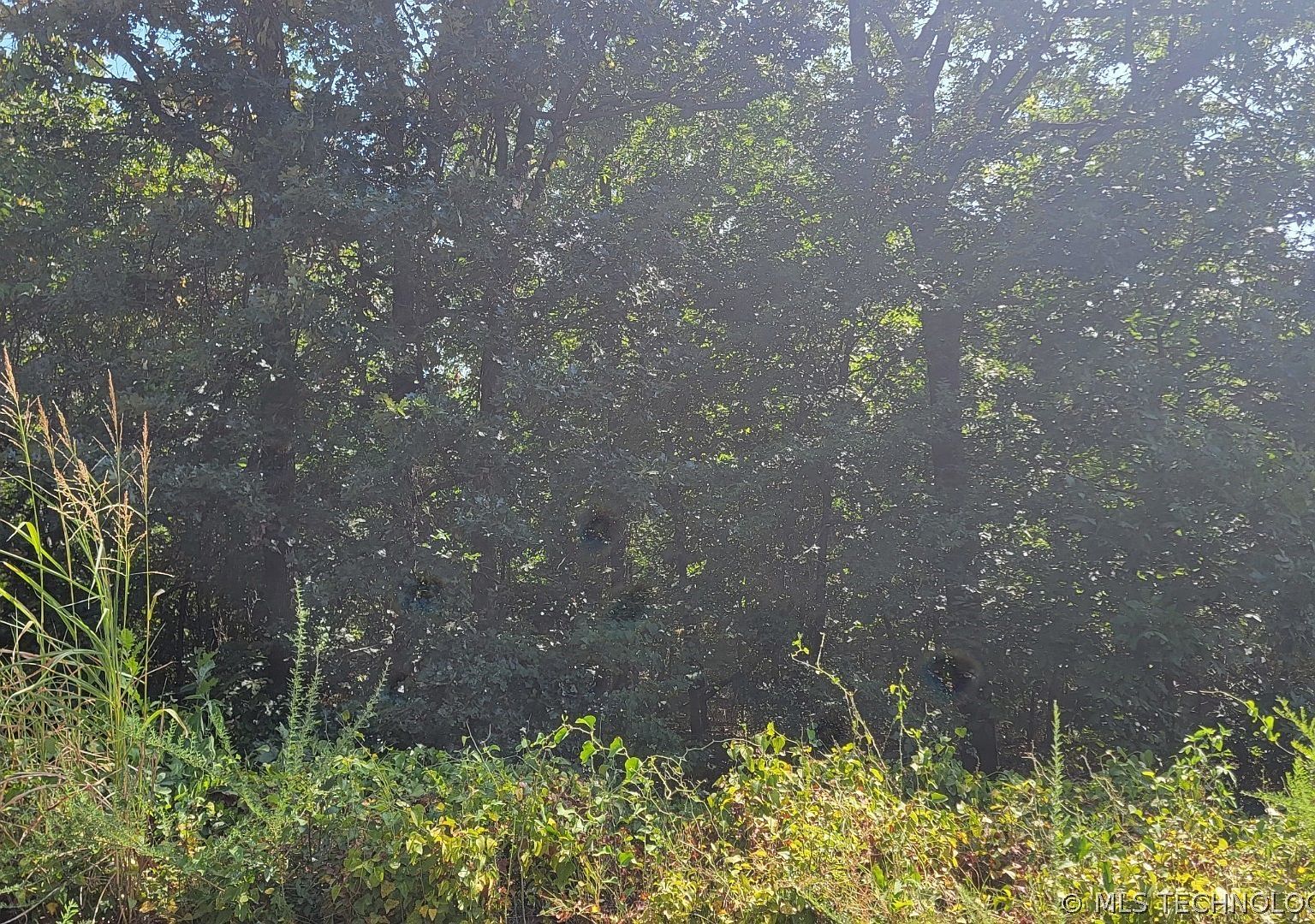 16 Brooken Mtn Stigler, OK 74462 - Thumbnail 4