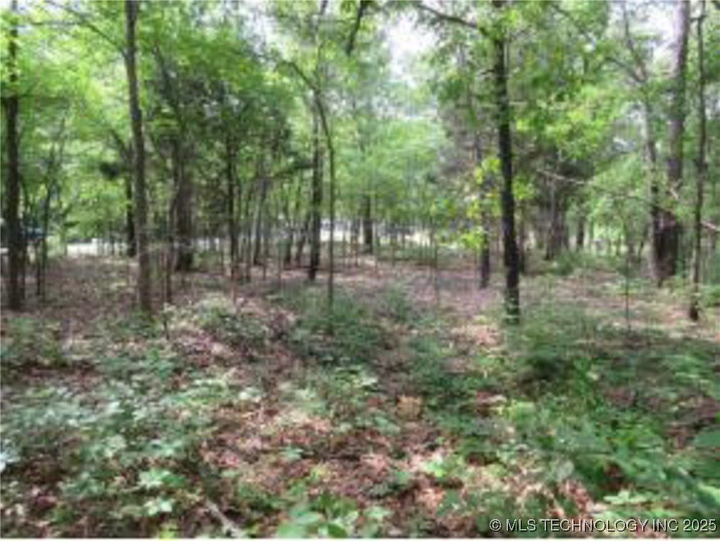 309 Bower Rd Eufaula, OK 74432 - Thumbnail 4