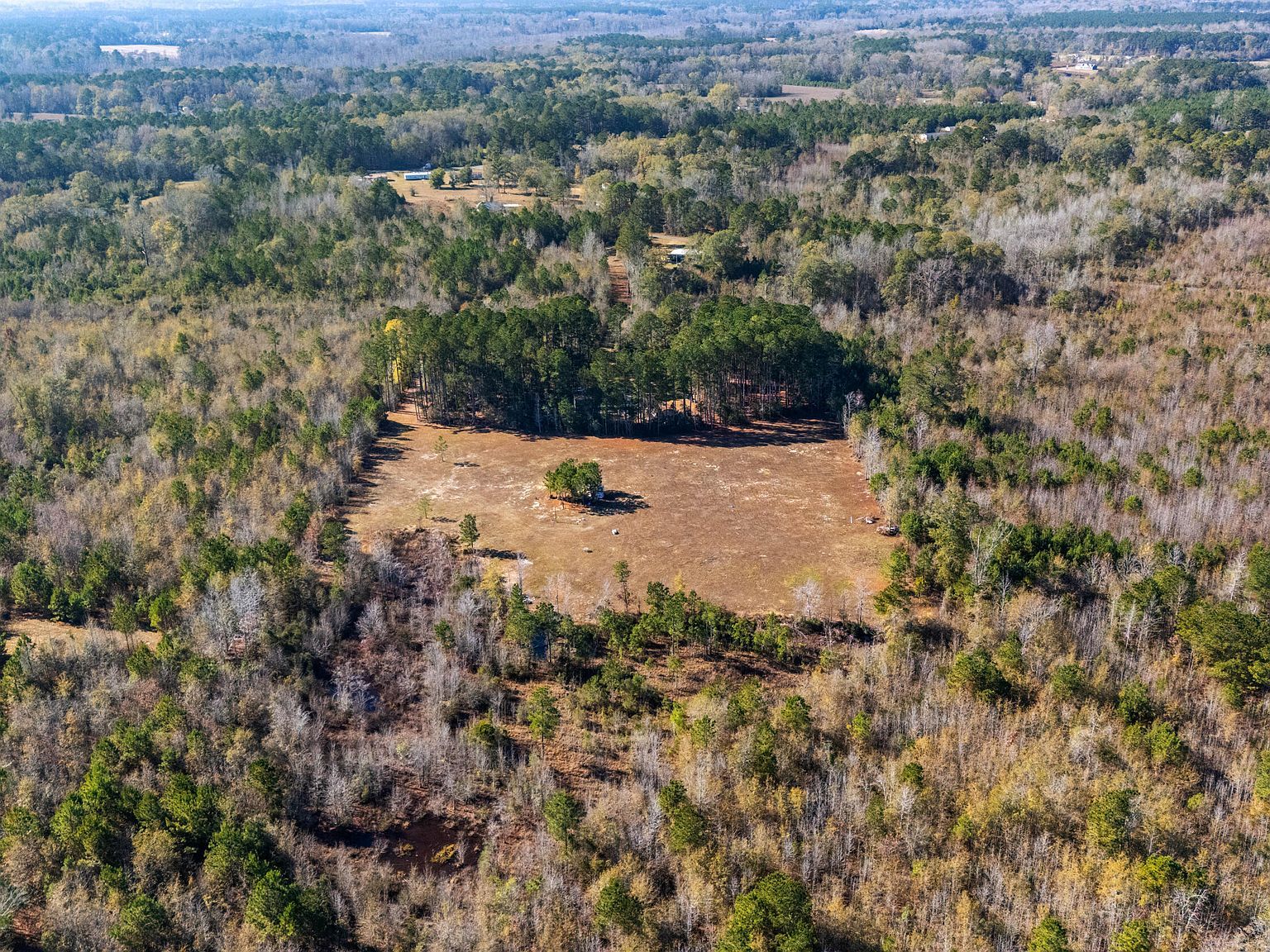 1 Primus Dr Saint George, SC 29477 - Thumbnail 4