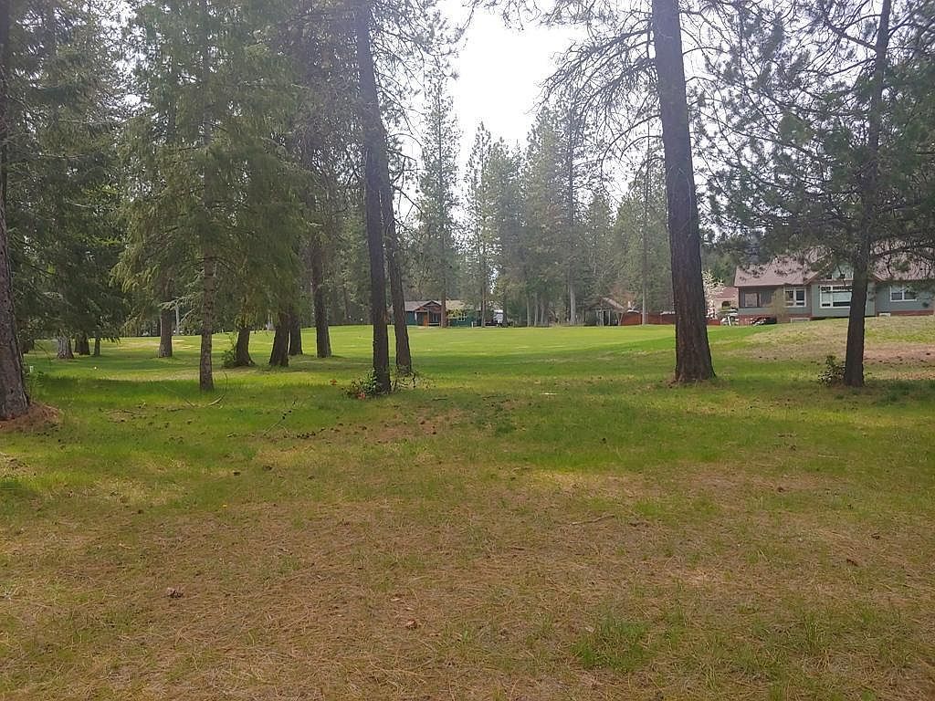 183 E Trappers Loop Chewelah, WA 99109 - Thumbnail 4