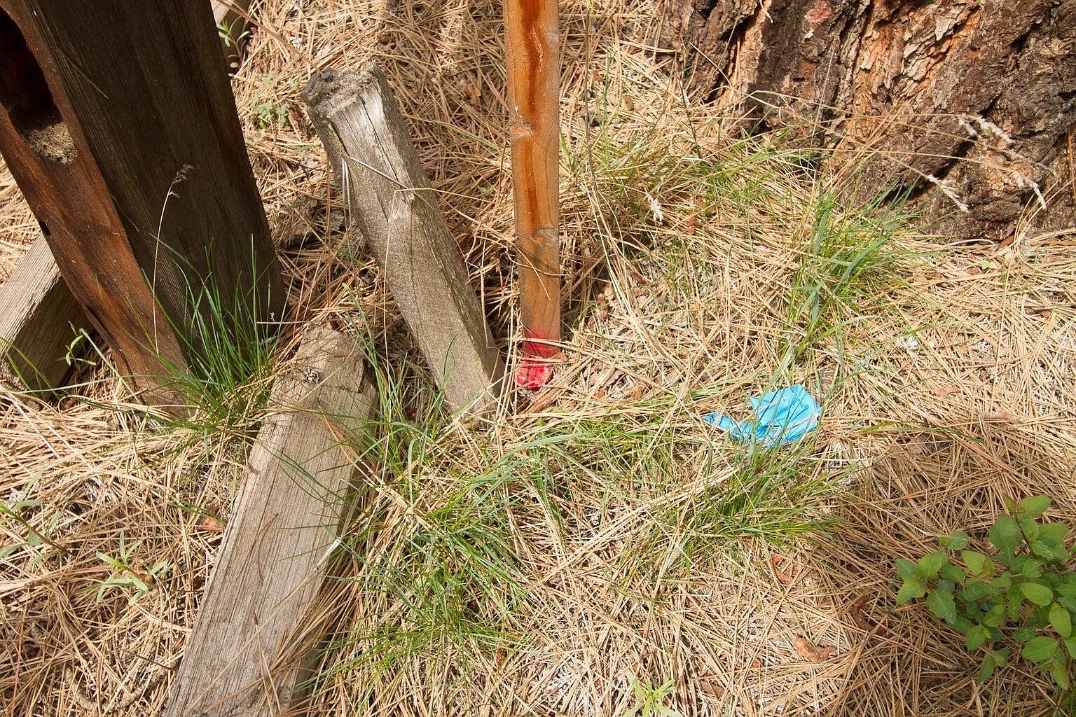 202 Eagle Dr Chewelah, WA 99109 - Thumbnail 4