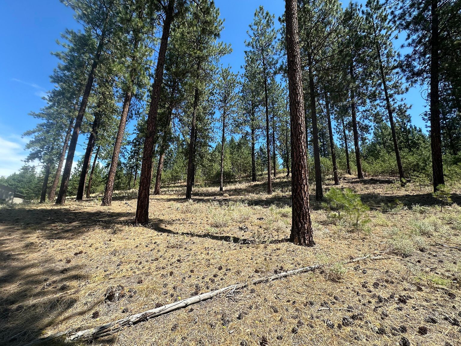 1363 Arthur Ct Kettle Falls, WA 99141 - Thumbnail 4