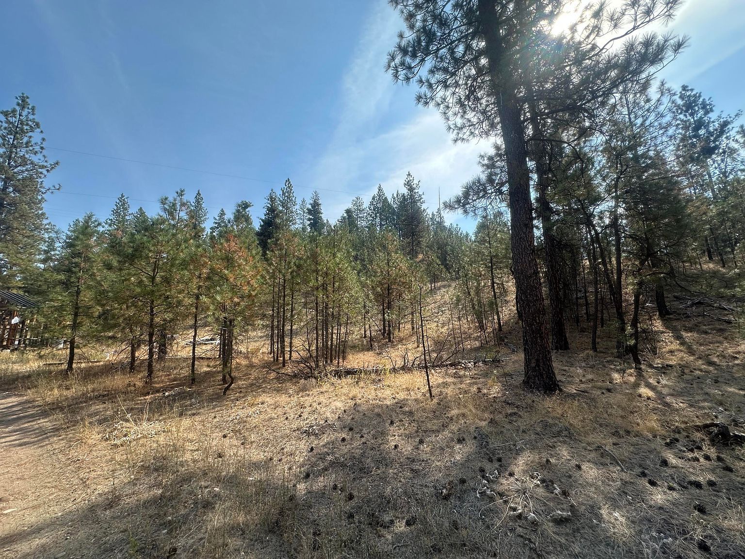 5699 Highway 231 Hwy #C Ford, WA 99013 - Thumbnail 4