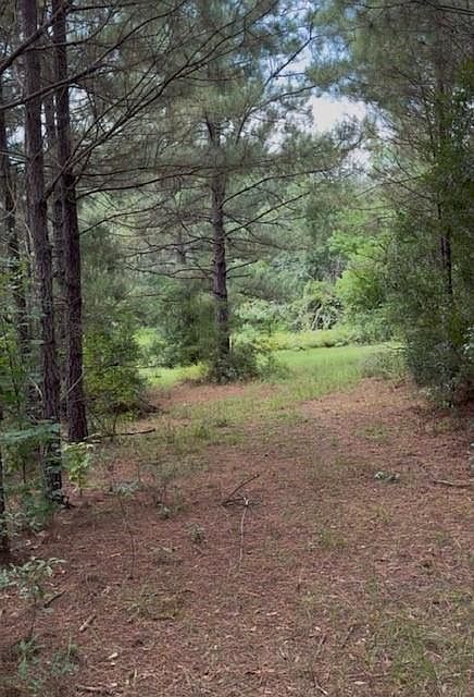 Dillon Rd Kentwood, LA 70444 - Thumbnail 4