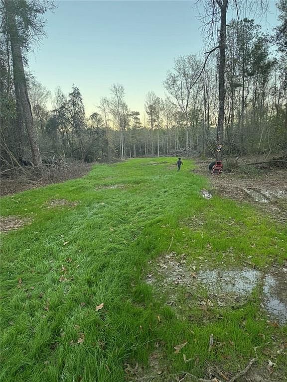 12663 Arcola Rd Roseland, LA 70456 - Thumbnail 4