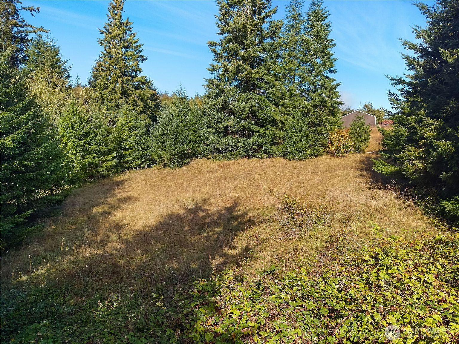 0 Rogers Rd #1 Kalama, WA 98625 - Thumbnail 4