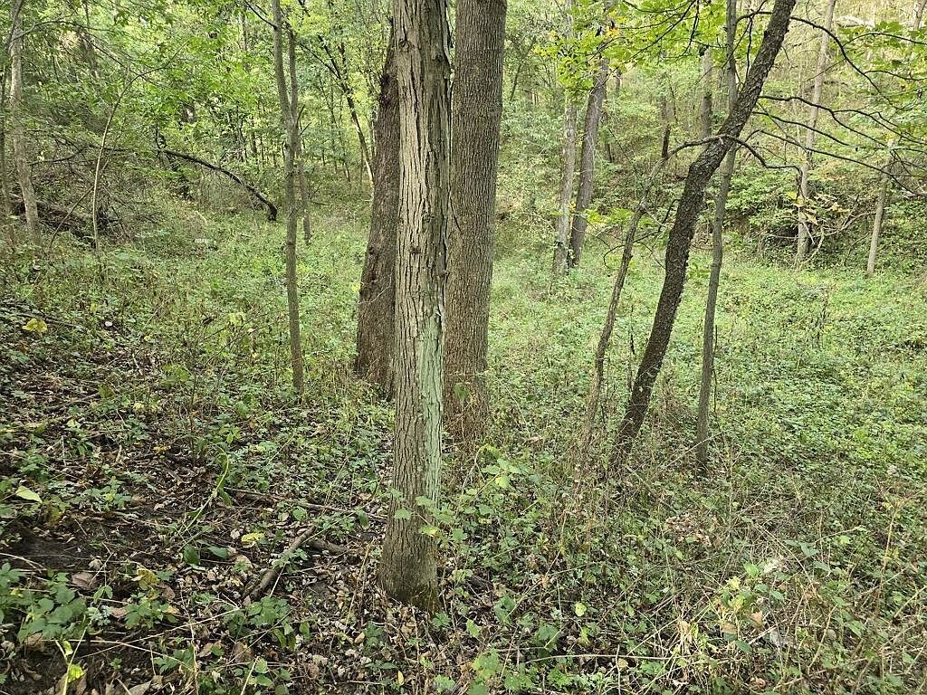 Tbd West St Galena, IL 61036 - Thumbnail 4