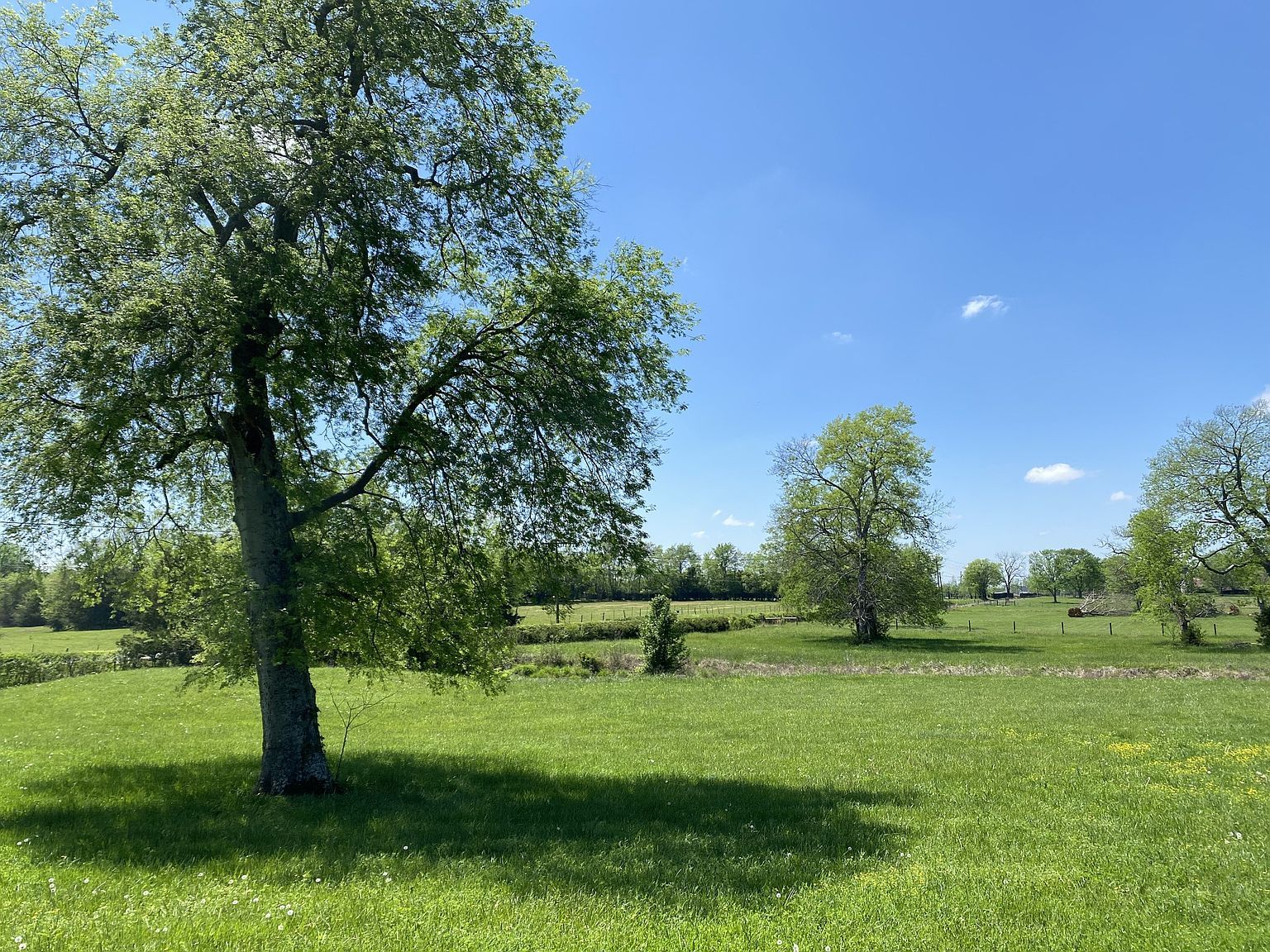 0 Midland Fosterville Rd LOT 2B Bell Buckle, TN 37020 - Thumbnail 4