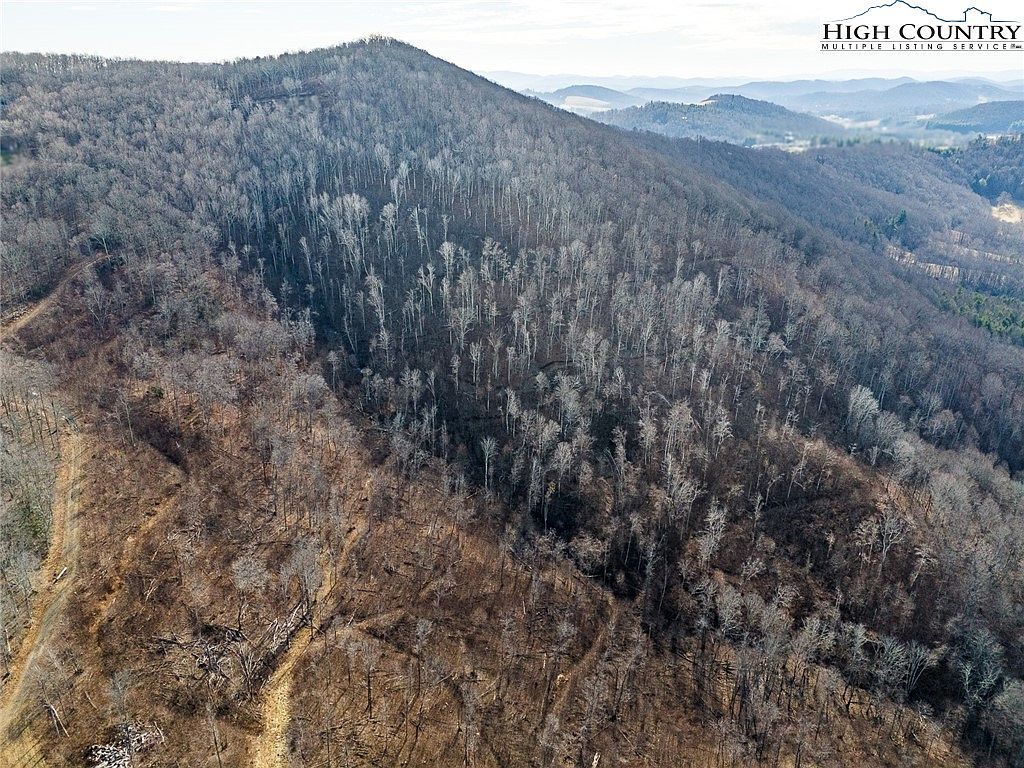 1A Doe Ridge Dr West Jefferson, NC 28694 - Thumbnail 4