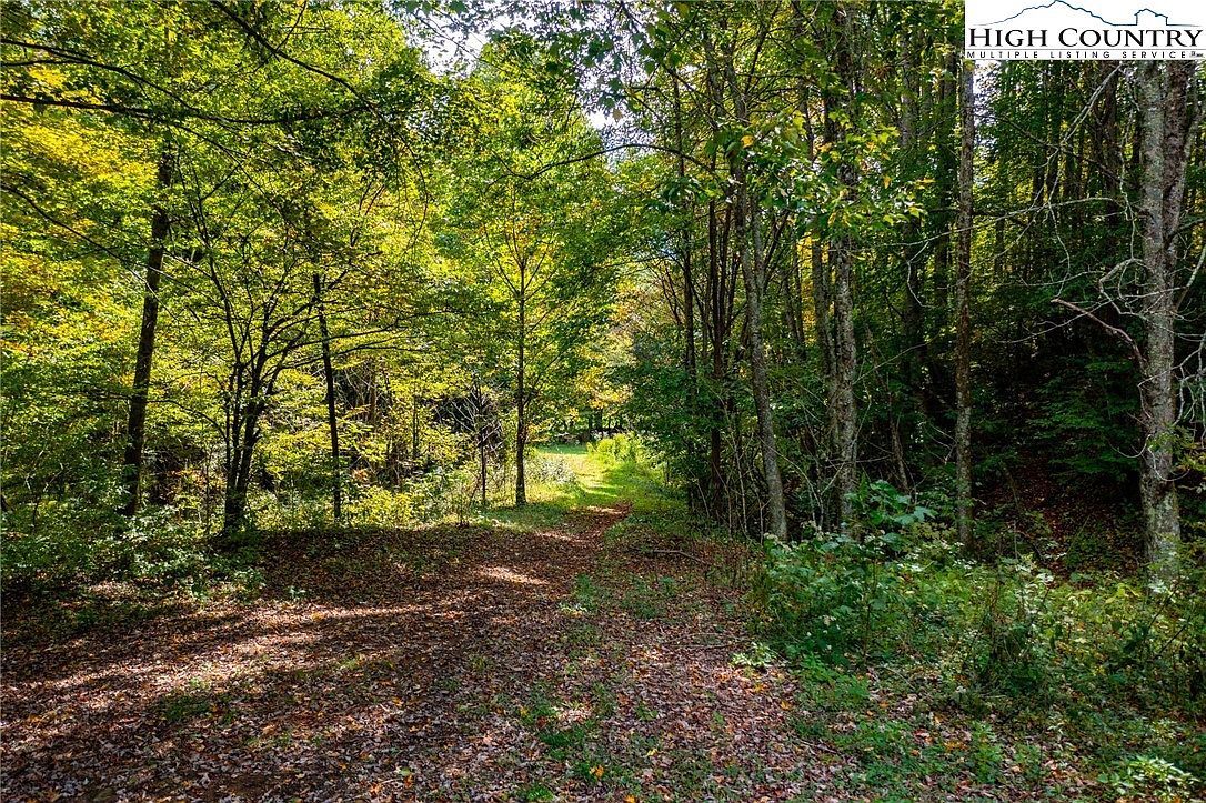 Tbd Rock Creek Rd Creston, NC 28615 - Thumbnail 4