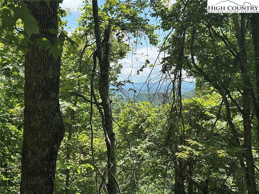 Tbd LOT 1 Mouth Of Wilson, VA 24363 - Thumbnail 4