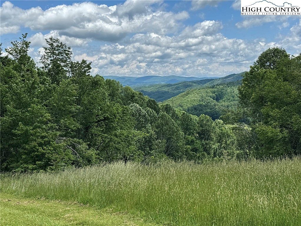 3 Mayito Ln Mouth Of Wilson, VA 24363 - Thumbnail 4