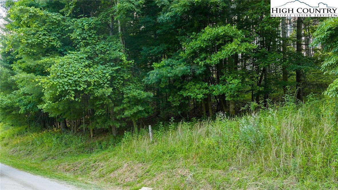 16 Bill Cooper Rd Crumpler, NC 28617 - Thumbnail 4