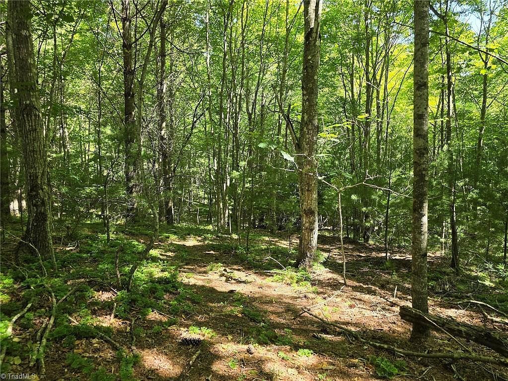 50 Deer Spring Ln West Jefferson, NC 28694 - Thumbnail 4