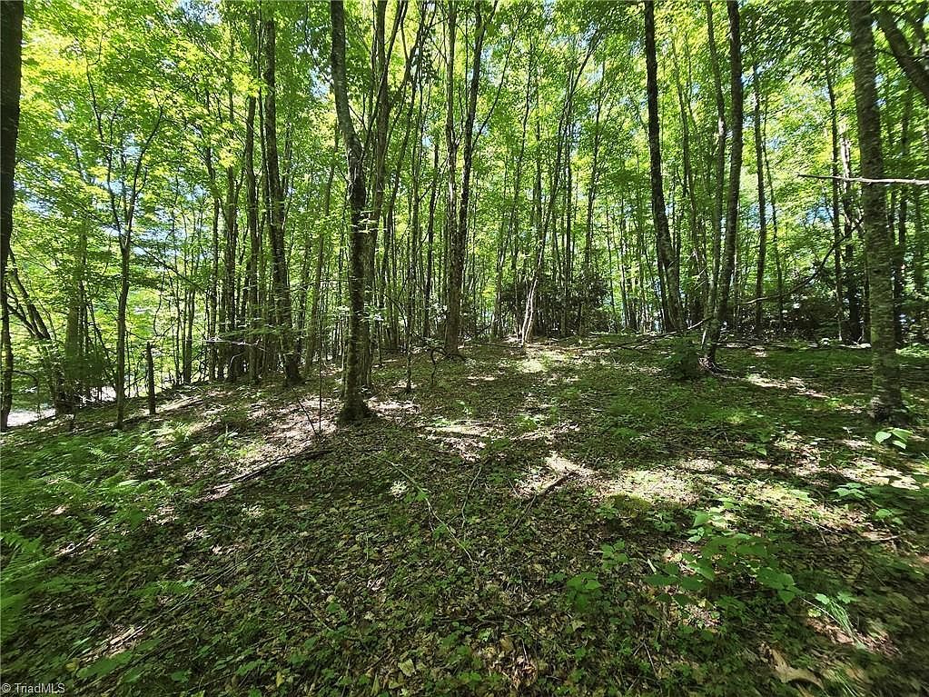 76 White Tail Trl LOT 76 West Jefferson, NC 28694 - Thumbnail 4