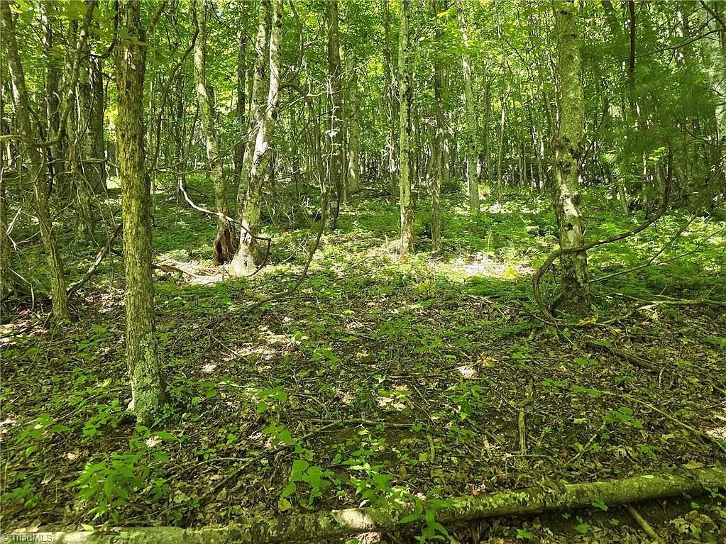 66 White Tail Trl West Jefferson, NC 28694 - Thumbnail 4