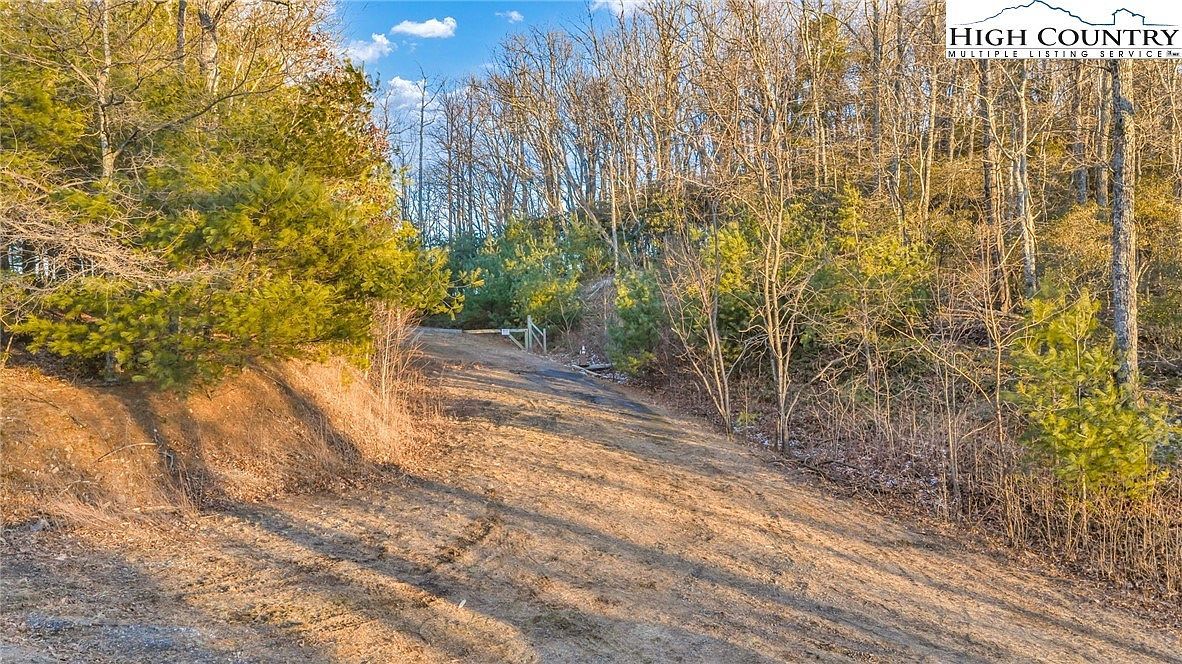 Tbd Lump Rd Purlear, NC 28665 - Thumbnail 4