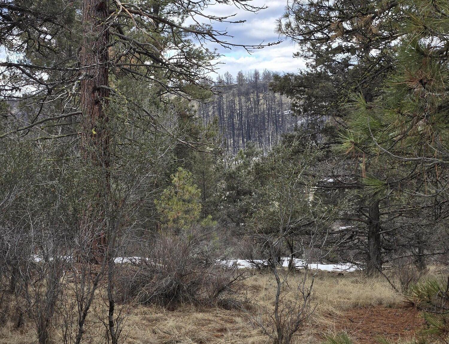 Jaguar Ln LOT 7 & 8 Bonanza, OR 97623 - Thumbnail 4