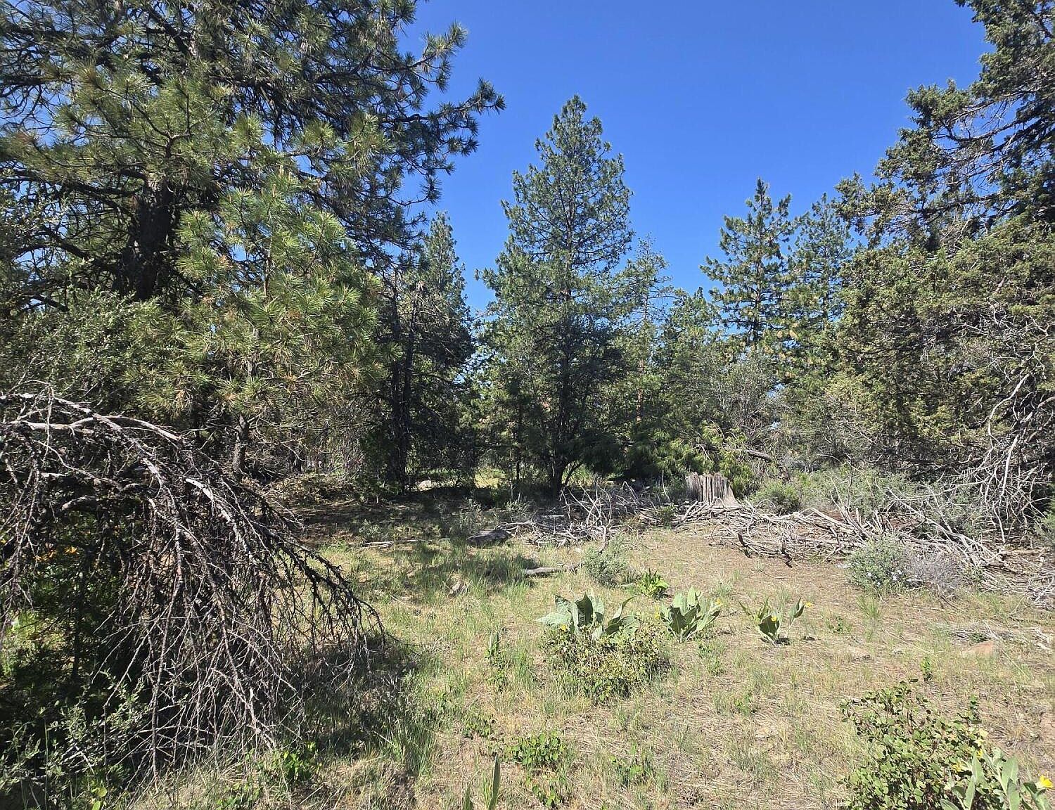 Meadow Lark Dr LOT 12 Bonanza, OR 97623 - Thumbnail 4