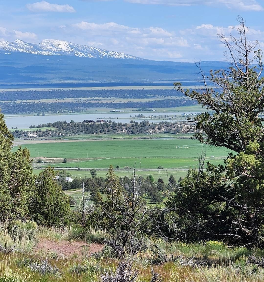 E Hummingbird Ln LOT 5 Alturas, CA 96101 - Thumbnail 4