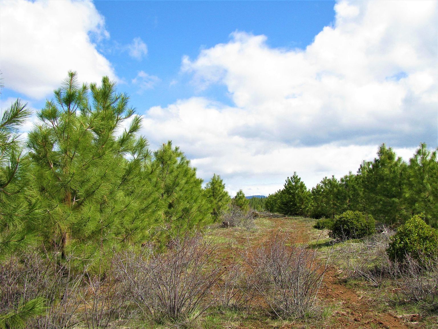 Greensprings Dr #2200 Klamath Falls, OR 97601 - Thumbnail 4