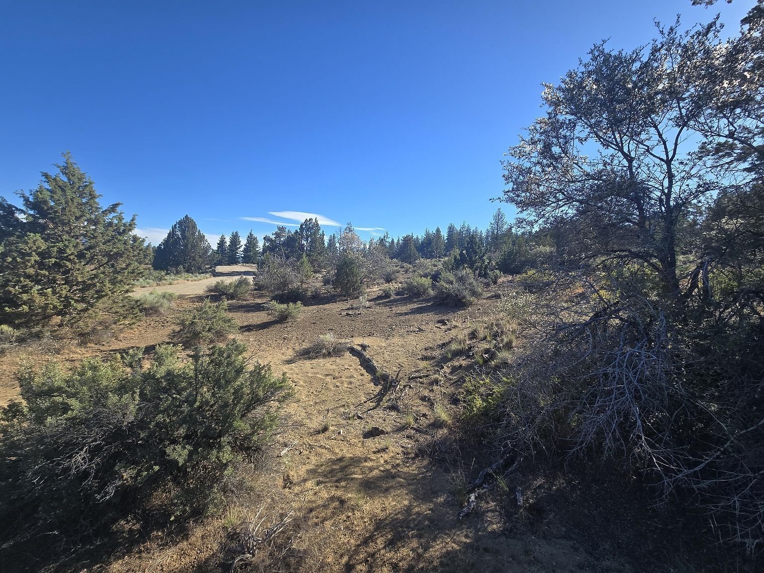 0 Sprague River Rd LOT 38, Sprague River, OR, 97639 - Thumbnail 4