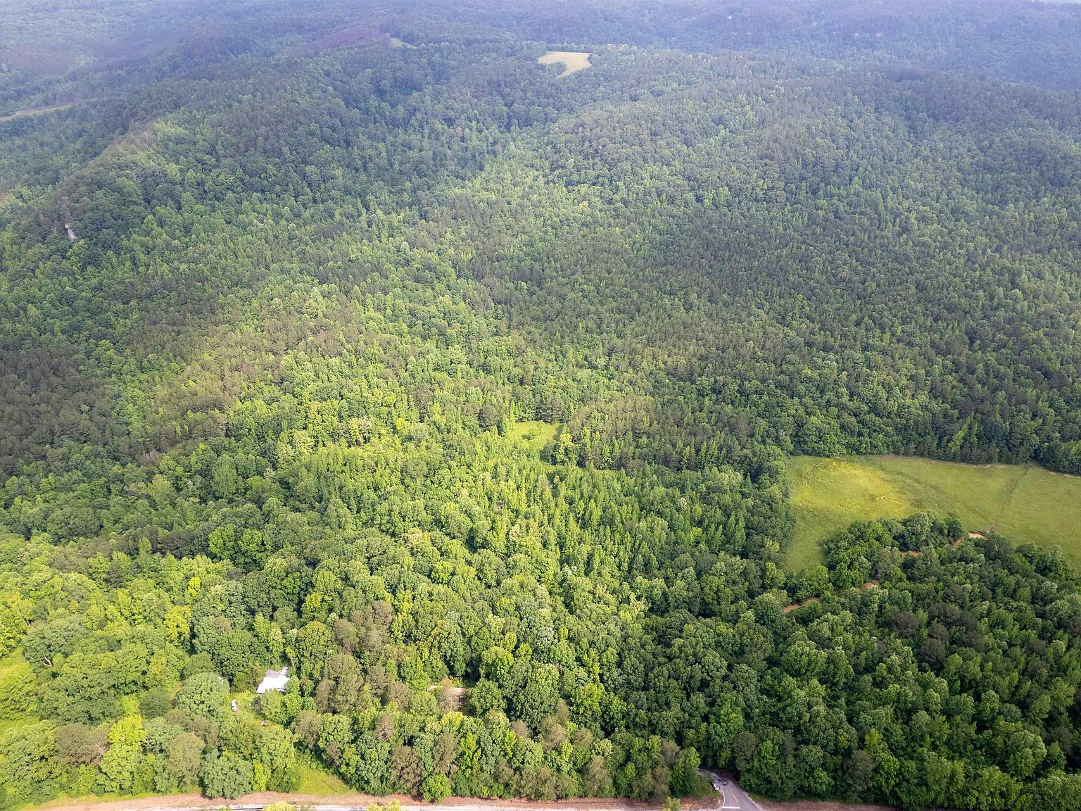 0 Posey Loop Tuscumbia, AL 35674 - Thumbnail 4