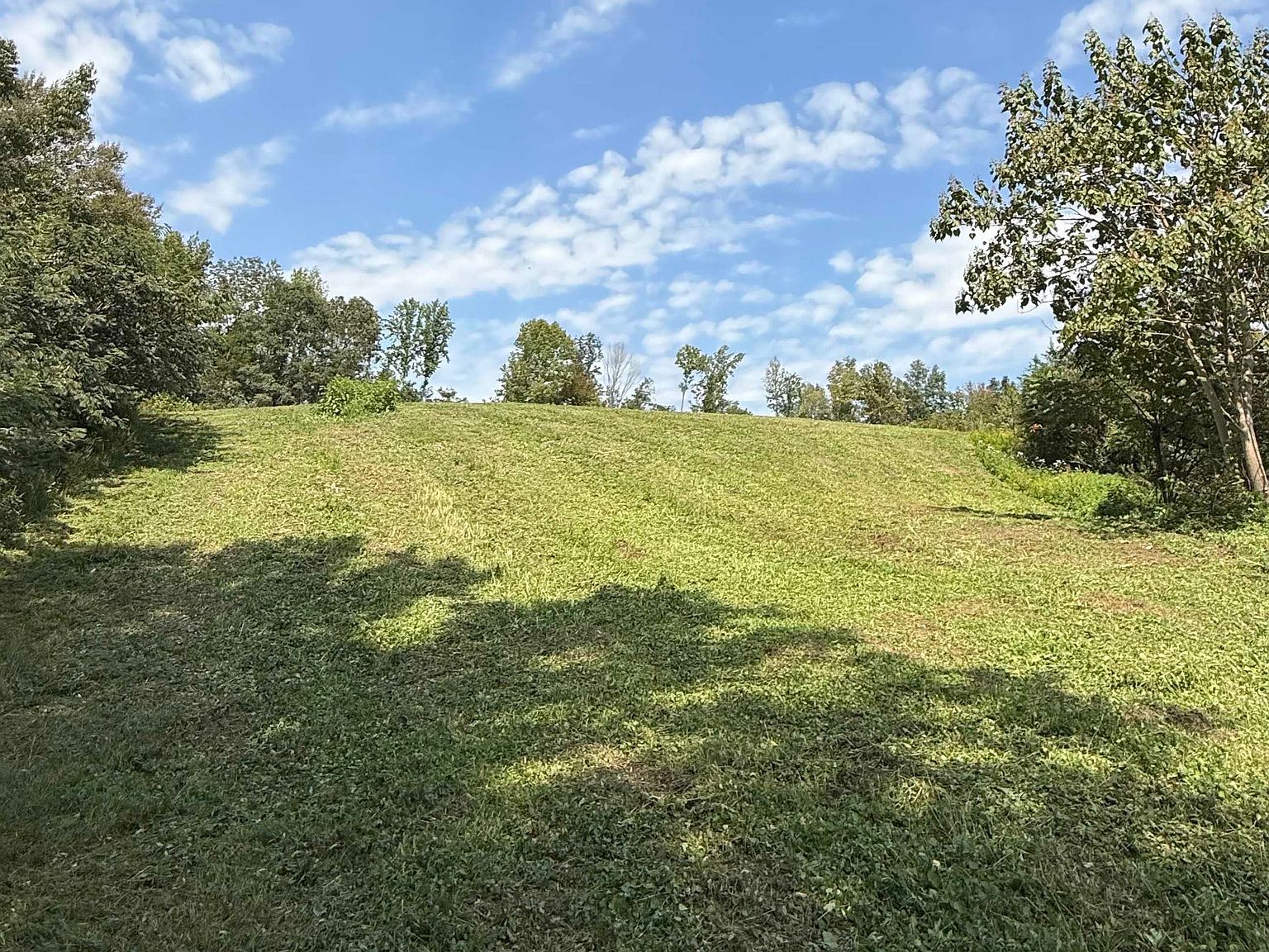 5221 County Road 50 Lexington, AL 35648 - Thumbnail 4