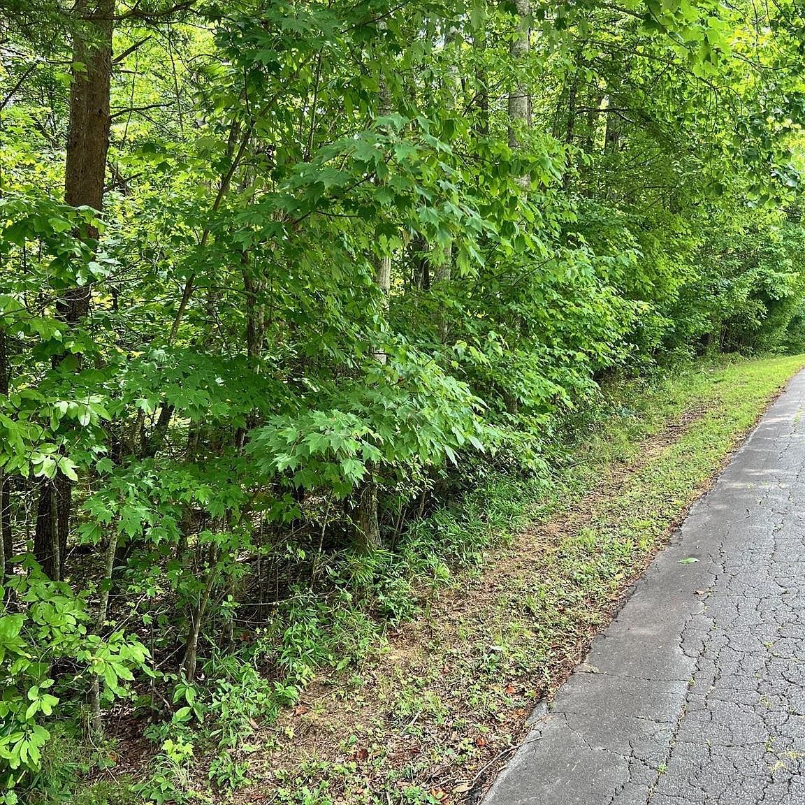 0 Buford Dr Morganton, NC 28655 - Thumbnail 4